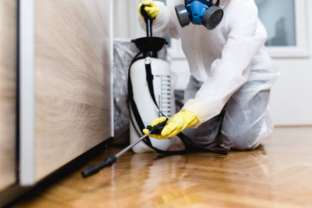 Best Best Pest Control Companies  in Lockport Heights, LA